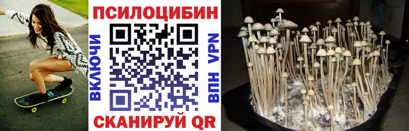 дарк нет телеграм Славянск-на-Кубани Галлюциногенные грибы Cubensis